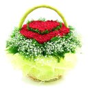 주성초교 이미지