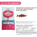 캣챱 | 웰츠 캣챱 - 수의사 레시피 신제품 체험후기
