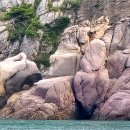 지죽도 티스토리