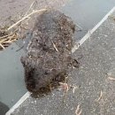 웜벳동물병원 이미지