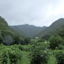 재치산(財峙山750.9m).고마루봉(672m).형봉(520m).한오봉(709m)/강원 영월 이미지