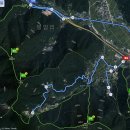 일암천 Daum카페