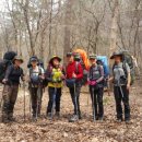 숲속 정원 이미지