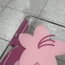 카츠미도리