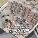 루이독앤디자인 | 루이독 판교 현대백화점 강아지간식 추천 (오트밀바 비프&말고기)