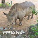 GS25 인천광장 | 베트남 나트랑 가족여행 추천 빈펄 투숙객 입장권 할인 팁 빈원더스 동물원 롯데리아 식당 스타벅스 후기