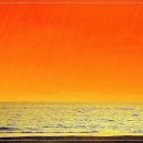 비야비야 이미지