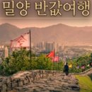 비송민물장어