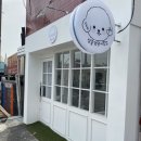 삼콩댕댕이발소 이미지