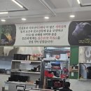 대가한방흑염소