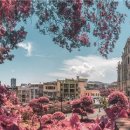 (주)마카오로 이미지