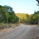 노일강 캠핑장 이미지