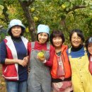 일요농장 이미지