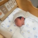 (주)마벨르산후조리원 판교점 | 마벨르 산후조리원 판교점 2주