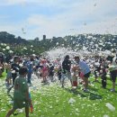 고령 멜빙축제 이미지