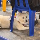 동광로12길 120-10 이미지