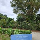 통일로 493번길 | [고양시 카페] 아기랑 함께 피크닉 가기 좋은곳, 플랜테이션 베이커리 카페 솔직 방문 후기