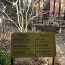 배롱나무집 | [구미/옥계] 입안에서 녹는 등갈비 김치찜, 정갈한 손맛이 느껴지는 ‘배롱나무집’ 후기