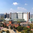 전립상회 이미지