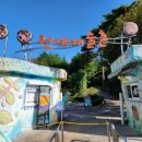 꽃섬나드리 이미지