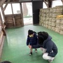 유천행복을빚는도예체험장 | 강원도 강릉 당일치기 가볼만한 곳 대관령 양떼목장 중앙시장 맛집리스트 안목해변