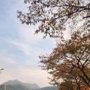 서일의료재단문경중앙병원 이미지