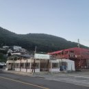 1051 | 부산 영도 태종대 조개구이촌 애견동반 조개구이 뷰맛집 끝집1051
