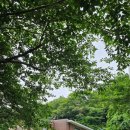 좌산초등학교 주변 이미지