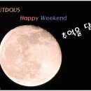 하노버승마장 | [49-2] Outdous Happy Weekend - 안성 하노버 승마 &amp; 캠핑