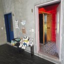 에스텔라 | 대부도 반려동물 동반 가능 카페 에스텔라 내돈내산 후기