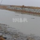 화원 청용리 이미지