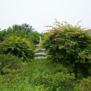 일구농장 이미지