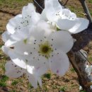 풍천농장 이미지