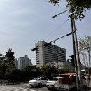 고프로락틴혈증 산정특례 등록, 카버락틴 복용시작 후기