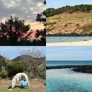 정화발전소 | [제주 2박 3일 여행] 셋째 날 | 제주엔 참 종거 많쑤다양.. (말미오름 일출,요가베르데,비자림,칠분의오...
