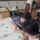 군산경포초등학교 이미지