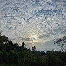 또 하나의 별 이미지