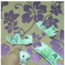 떼깔 이미지