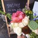 빌라드자뎅 이미지