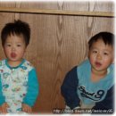 평창그린힐리조트 이미지