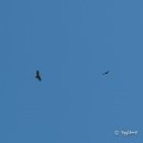 팔공산글램핑 이미지