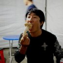 송이투어 Daum카페