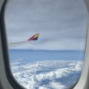 오비보스(OVIVOS) 이미지