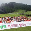제주자연잔디 이미지