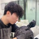 헤어살롱 정화헤어