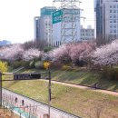 안양천 산책로 이미지