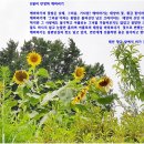 향교 앞 이미지