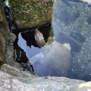 자라 앞 이미지