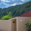 여여한사생활 이미지