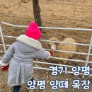 이든목장 이미지